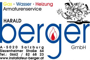 berger_Logo_gmbh_neu_klein